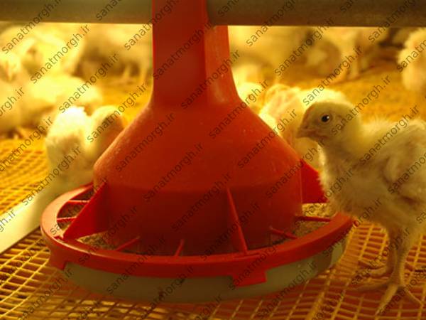 تولید کننده جدیدترین دانخوری صنعت مرغ