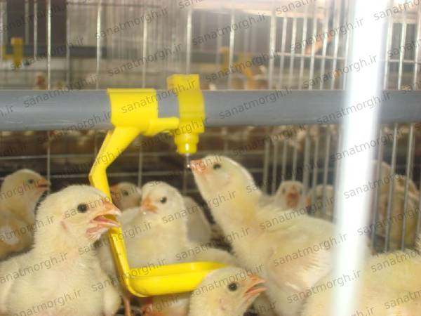 فروشگاه اینترنتی آبخوری نیپل صنعت مرغ