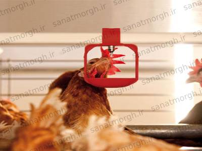 فروش آبخوری نیپل مرغداری صنعت مرغ