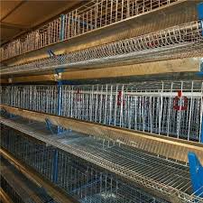 تجهیزات مرغداری