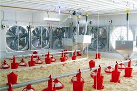 تجهیزات مرغداری