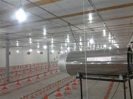 تجهیزات مرغداری