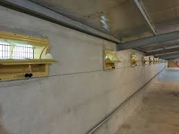 دریچه اینلت مرغداری