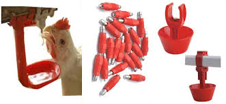 آبخوری مرغداری