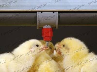قیمت آبخوری نیپل صنعت مرغ
