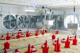 تجهیزات مرغداری