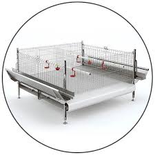 نمایندگی فروش تجهیزات مرغداری