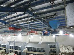 انواع تجهیزات صنایع مرغداری