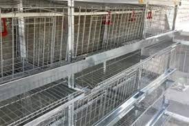 تجهیزات مرغداری