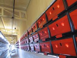 دریچه اینلت مرغداری