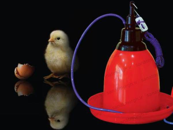 نمایندگی فروش آبخوری جامبو صنعت مرغ