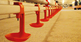 بهداشت سیستم آبخوری