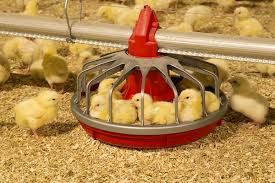 مرکز فروش تجهیزات پیشرفته مرغداری