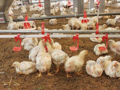 خرید آبخوری نیپل صنعت مرغ