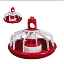 واردات دانخوری بشقابی