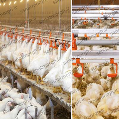 فروش آبخوری نیپل صنعت مرغ