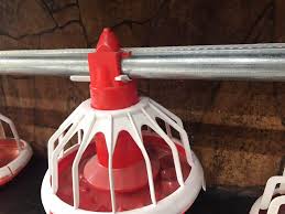 خرید دانخوری بشقابی توسط مرغداران