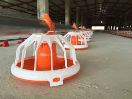 نمایندگی فروش دانخوری اتومات