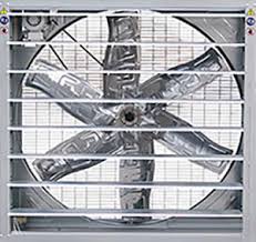 شرایط دمایی سالن مرغداری