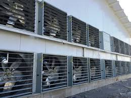 بهترین مدل سیستم هواکش مرغداری