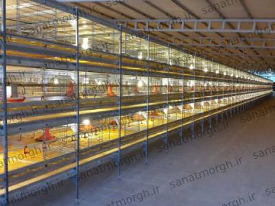 فروش قفس تمام اتوماتیک صنعت مرغ