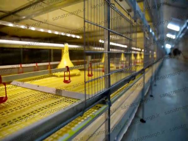 فروش قفس تمام اتوماتیک صنعت مرغ