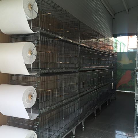 خرید رول بستر