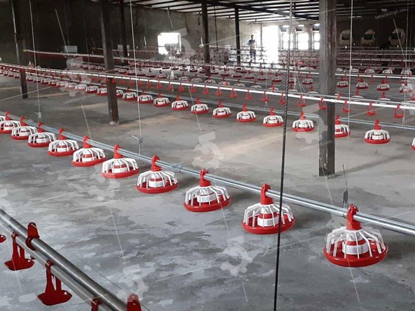 دانخوری اتوماتیک بشقابی