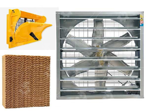 تهویه سالن مرغداری