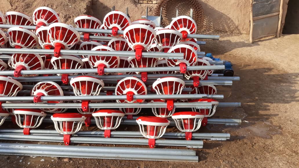 دانخوری دست دوم